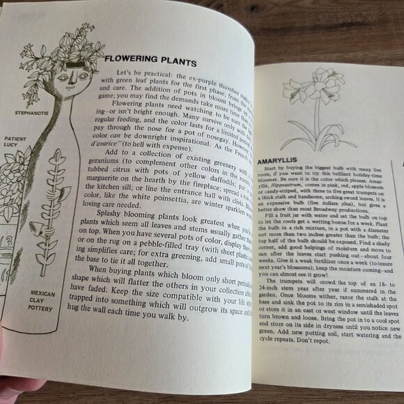 House Plants  for the Purple Thumb by Maggie Baylis book,1973 - Picture 8 of 10